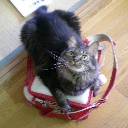 投資家ジャイ On Twitter 資産運用にて経済的自由を目指して なぜかお金を引き寄せる女性 39のルール ワタナベ薫 Https T Co Q8elthufdg