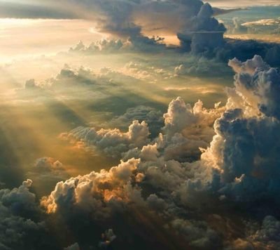 rimosa2008's profile picture. 