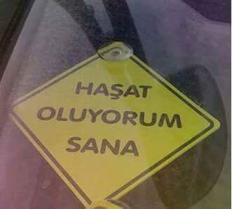 izol554's profile picture. 