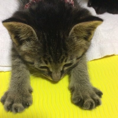 凛 松坂桃李と松雪泰子のキスシーンを見た妹の一言 松雪泰子とキスシーン か いいな あっ 羨ましいの そっち S ゚w゚ノ ノ笑 凛 松坂桃李と松雪泰子のキスシーンを見た妹の一言 松雪泰子とキスシーン か いいな あっ 羨ましいの そっち S ゚w゚ノ ノ笑