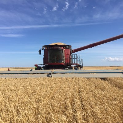 Mixed farm enterprise with dryland and irrigation. Have a go at growing most crops both winter and summer