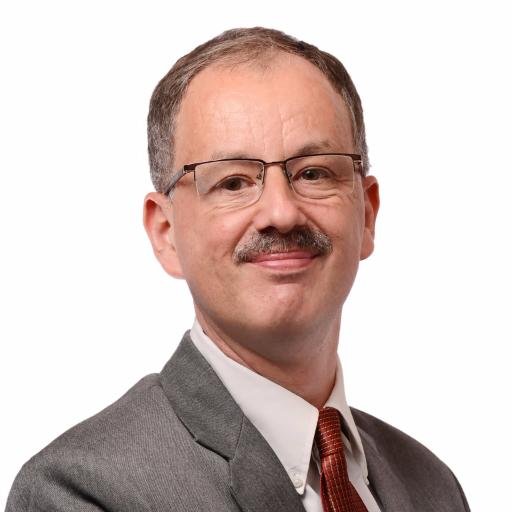 Director DMH Business Advisors | President Belgium Luxembourg Business Association | Helping you to enter, grow and succeed in India |