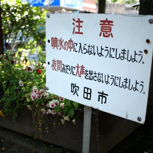 チャイいぬいぬさんのプロフィール画像