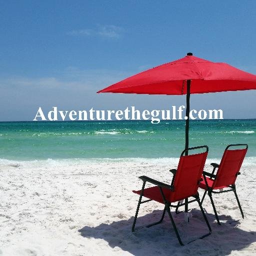 We are a travel adventure website that shows how to take on Florida's gulf coast the way the locals do. Come see what the brochures don't always tell you about!