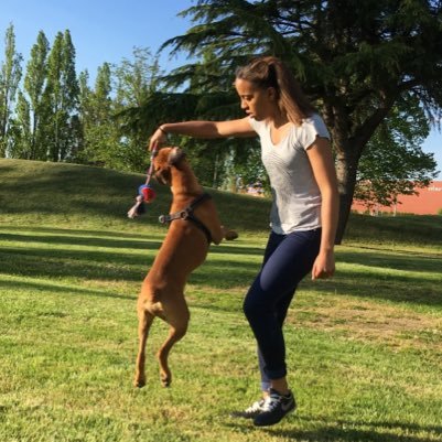 #sportaddict #TeamOM #TeamBarça #Footféminin #running #seriesaddict #boxerdog ❤️OM❤️