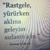 muhterem çotak (@muhteremco) 's Twitter Profile