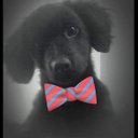 sandy dye - @Sandomando2 - Twitter