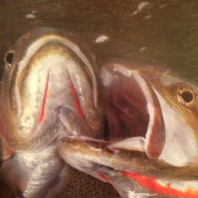 Gone fishing