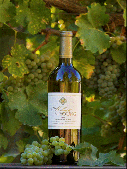 KelleyYoungWine's profile picture. Making wines that go with food, friends and fun.