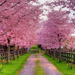 trackerAK's profile picture. 