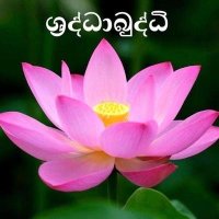 sraddhabuddhi(@sraddhabuddhi) 's Twitter Profile Photo