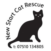 New Start Cat Rescue💜🐾(@newstartcats) 's Twitter Profileg