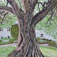 Somerset Stitch (@somersetstitch) 's Twitter Profile