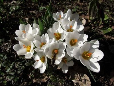 FecaFerbognar's profile picture. Kedvenc hobbim: a fotózás!