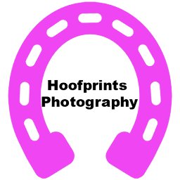I am a passion driven horse photographer/blogger. If you'd like to see some of my work, check out my blog!