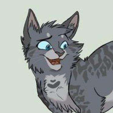 Shecat•No Specific Pronouns•Pansexual•Single as Fuck•Gray Blue Bengal•Blue Eyes•Cares /Too/ Much•Awkward as Fuck•Quiet•Displeased With Her Body