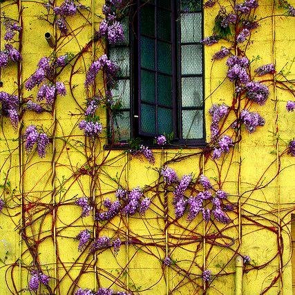 VChartreuse's profile picture. Creative upcycling for galleries, interiors & gardens; pop-up art classes; vintage textiles; cocktails; fine loose tea sommeliers; Jazz - 50% profits to Charity