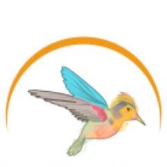 gambiabirding's profile picture. Let us guide you through Gambia!