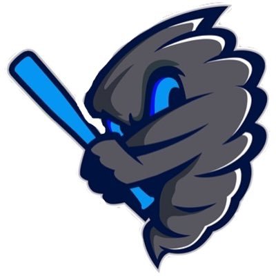 Official Twitter for the California Chaos in the LMWBL. Based in Los Angeles, CA. Record is 2-1