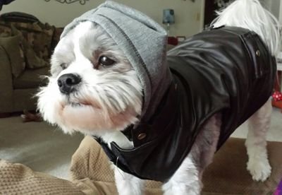 gemini8025's profile picture. 