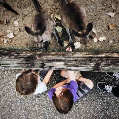 JeremiahIniko's profile picture. 