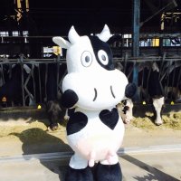 松井牧場(松井直弘) (@matsuifarm_oota) 's Twitter Profile Photo