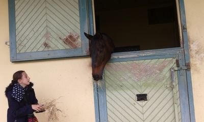 equitloves's profile picture. Sports