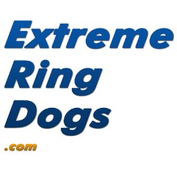 Are you a retailer looking for the best wholesaler for well-priced dog products that offers the highest quality products?