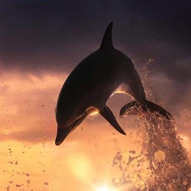 abaysoley06's profile picture. bitcoin