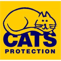 Cats Protection Bath (@bathcats) 's Twitter Profile