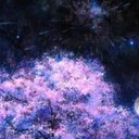 Space (@234818948Gt) Twitter