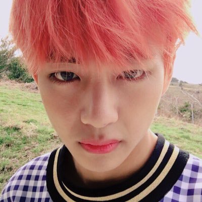 b_th_1230's profile picture. キチガイテヒョンbot^ ^ 抱き枕【b__kook】 大切 【@jmn_b_t_s_bot】【@for_th_】