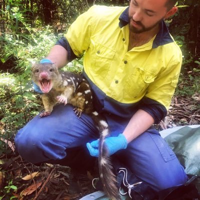 Conservation biologist working on threatened species in the Blue Mountains region. I also study spotted-tailed #quolls. Views my own.
