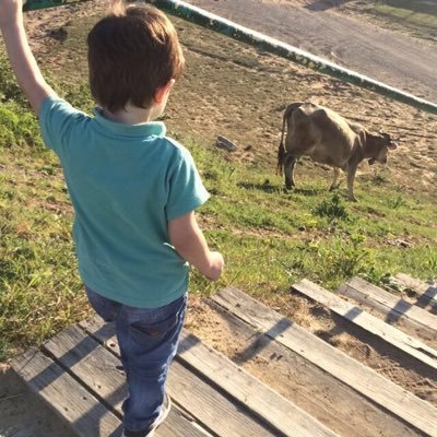 fatmatekler's profile picture. 