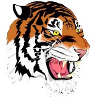 NNHS ULTIMATE (@nnhs_ultimate) 's Twitter Profile