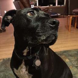 adamdemo200's profile picture. 