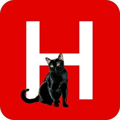 perfil de el gato asesinado, comentarista del reality harper island