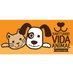 VidaAnimalGuatemala (@VidaAnimalGuate) Twitter profile photo