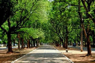 Nil_Soul's profile picture. Actually, It's the complexity of souls that draws life out of a body/ A Prisoner, not a Convict/ Humanity