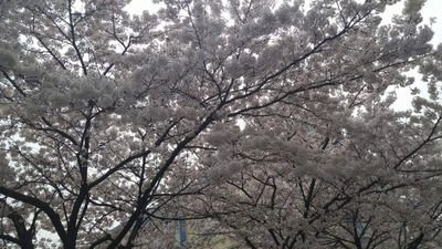 일상