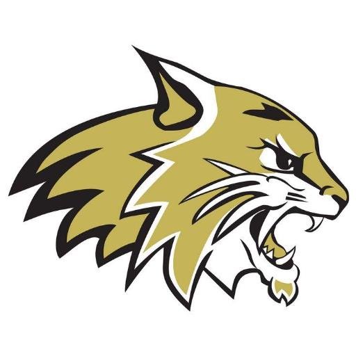 NEOSHOBOOSTER's profile picture. 