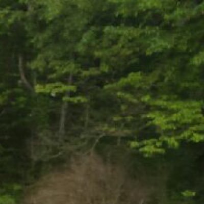 SnkHeat's profile picture. I mean I guess I'm a sneaker head.