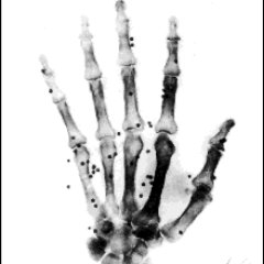 Sio347's profile picture. Polkadot validator 1% fee, validator also in Kusama, Bifrost, Moonbeam