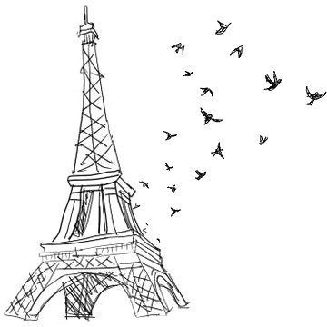 A_ysf_AlGhamdi's profile picture. اللهم آتِ نفسي تقواها .. وزكهـا أنت خير من زكاهـا