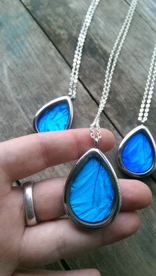 DOddities's profile picture. Hello Everyone ! We make Jewelry from naturally deceased Insects , specializing in Butterflies & Moths.