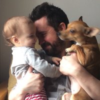 Daniel Klein (@perennialplate) 's Twitter Profile
