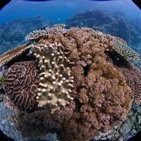 PhD - Gonzalo Perez-Rosales (@perez_rosales_g) 's Twitter Profile Photo PhD - Gonzalo Perez-Rosales (@perez_rosales_g) 's Twitter Profile Photo