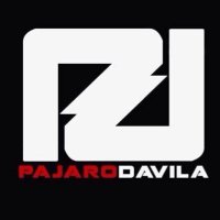 PAJARO DAVILA (@pajarodavila) 's Twitter Profile