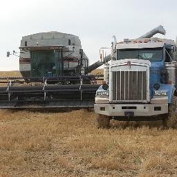 GleanerRichard's profile picture. 4th generation farmer - grain and oilseed producer near Rosebud, Alberta.