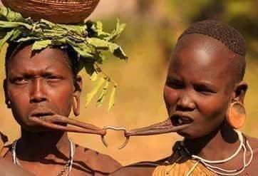 Simienethiopiat's profile picture. 